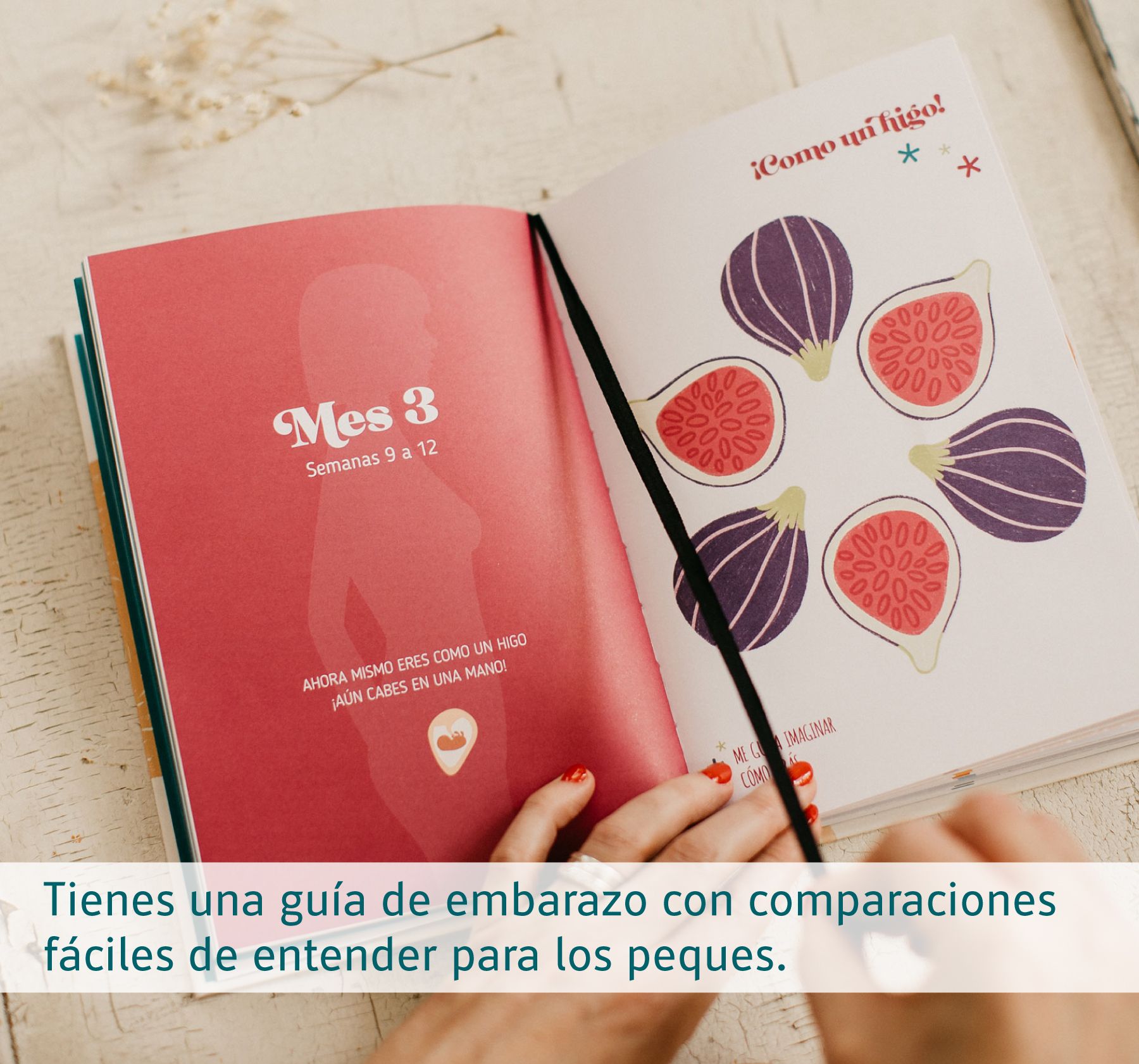 diario-embarazada-1d